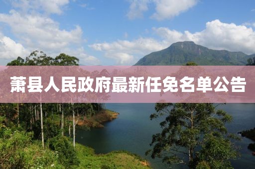 蕭縣人民政府最新任免名單公告