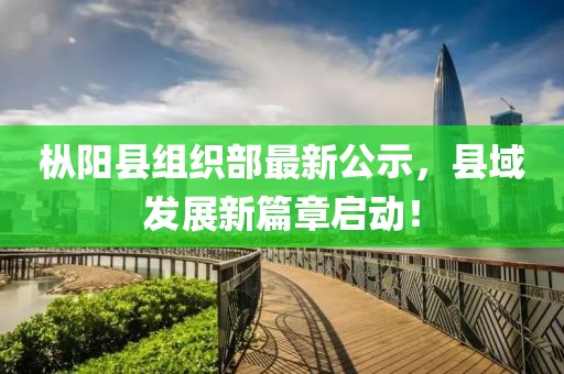 樅陽縣組織部最新公示，縣域發(fā)展新篇章啟動！
