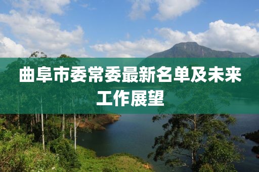 曲阜市委常委最新名單及未來工作展望