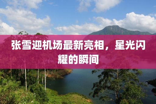 張雪迎機(jī)場(chǎng)最新亮相，星光閃耀的瞬間
