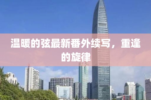 溫暖的弦最新番外續(xù)寫，重逢的旋律