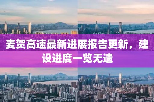 麥賀高速最新進展報告更新，建設進度一覽無遺