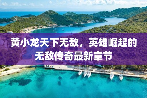 黃小龍?zhí)煜聼o敵，英雄崛起的無敵傳奇最新章節(jié)