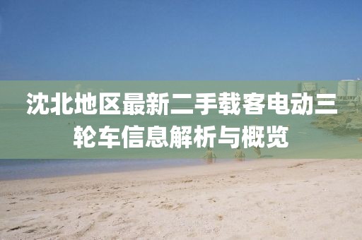 沈北地區(qū)最新二手載客電動三輪車信息解析與概覽