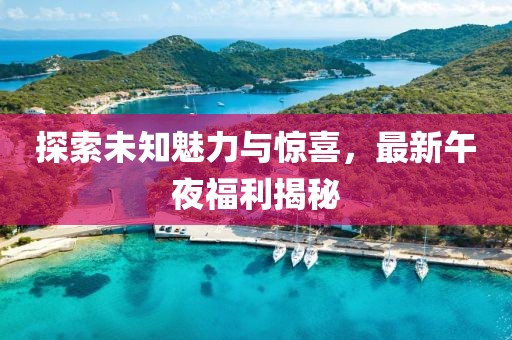 探索未知魅力與驚喜，最新午夜福利揭秘