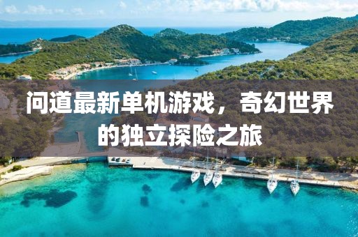 問道最新單機(jī)游戲，奇幻世界的獨(dú)立探險(xiǎn)之旅