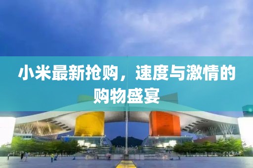 小米最新?lián)屬彛俣扰c激情的購物盛宴