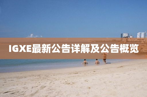 IGXE最新公告詳解及公告概覽
