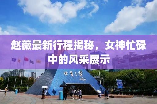 趙薇最新行程揭秘，女神忙碌中的風(fēng)采展示