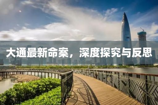 大通最新命案，深度探究與反思