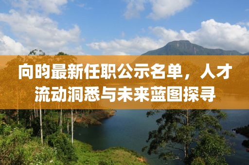 向昀最新任職公示名單，人才流動(dòng)洞悉與未來藍(lán)圖探尋