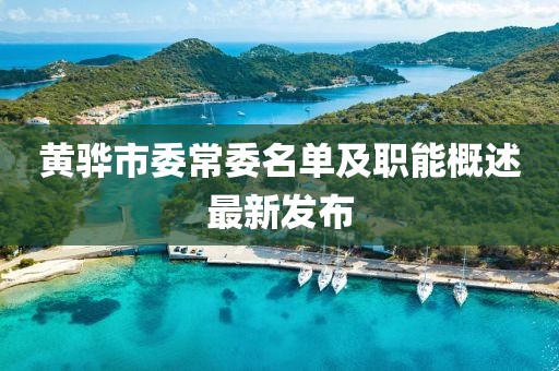 黃驊市委常委名單及職能概述最新發(fā)布