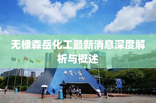 無棣森岳化工最新消息深度解析與概述